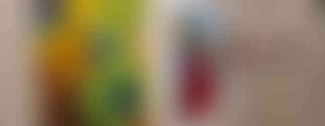 Obrazová díla Vladimíra Josefa Dvořáka