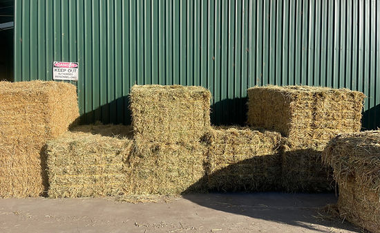 Barren packs outside shed.jpg