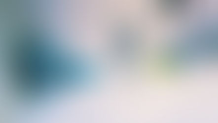 カビは実は怖いヤツ