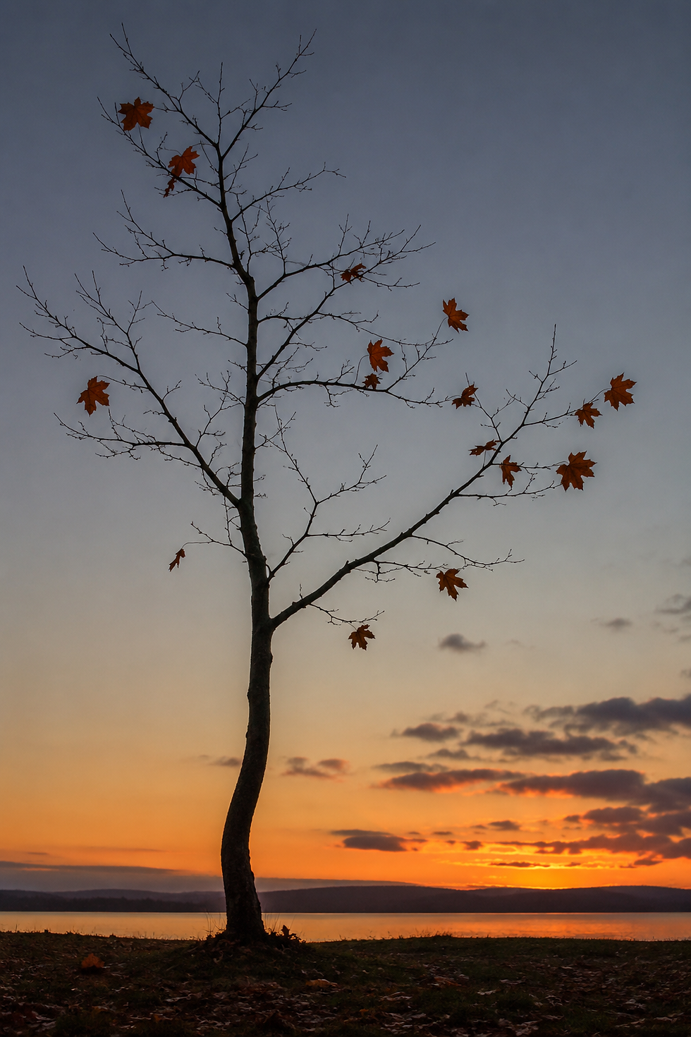 A few leaves remain after so many have fallen: As possessions, roles, plans, and even certainties begin to fall away, what remains are often the moments when we genuinely connected with another human being—and allowed ourselves to be changed by that connection.