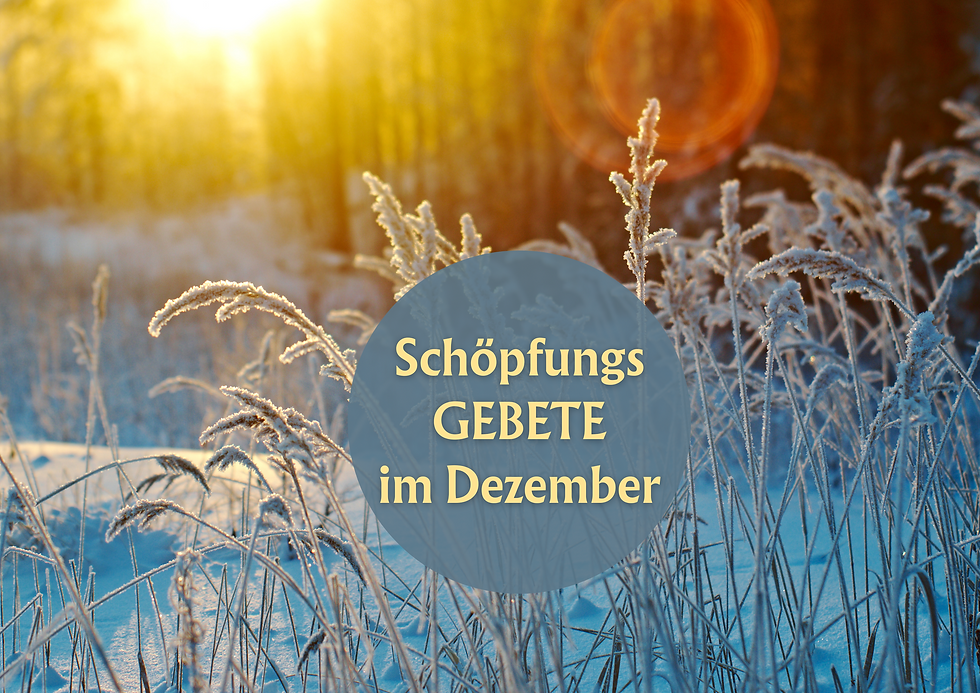 Schöpfungs-Gebete im Dezember