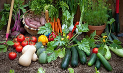 Vegetable-Garden.jpg
