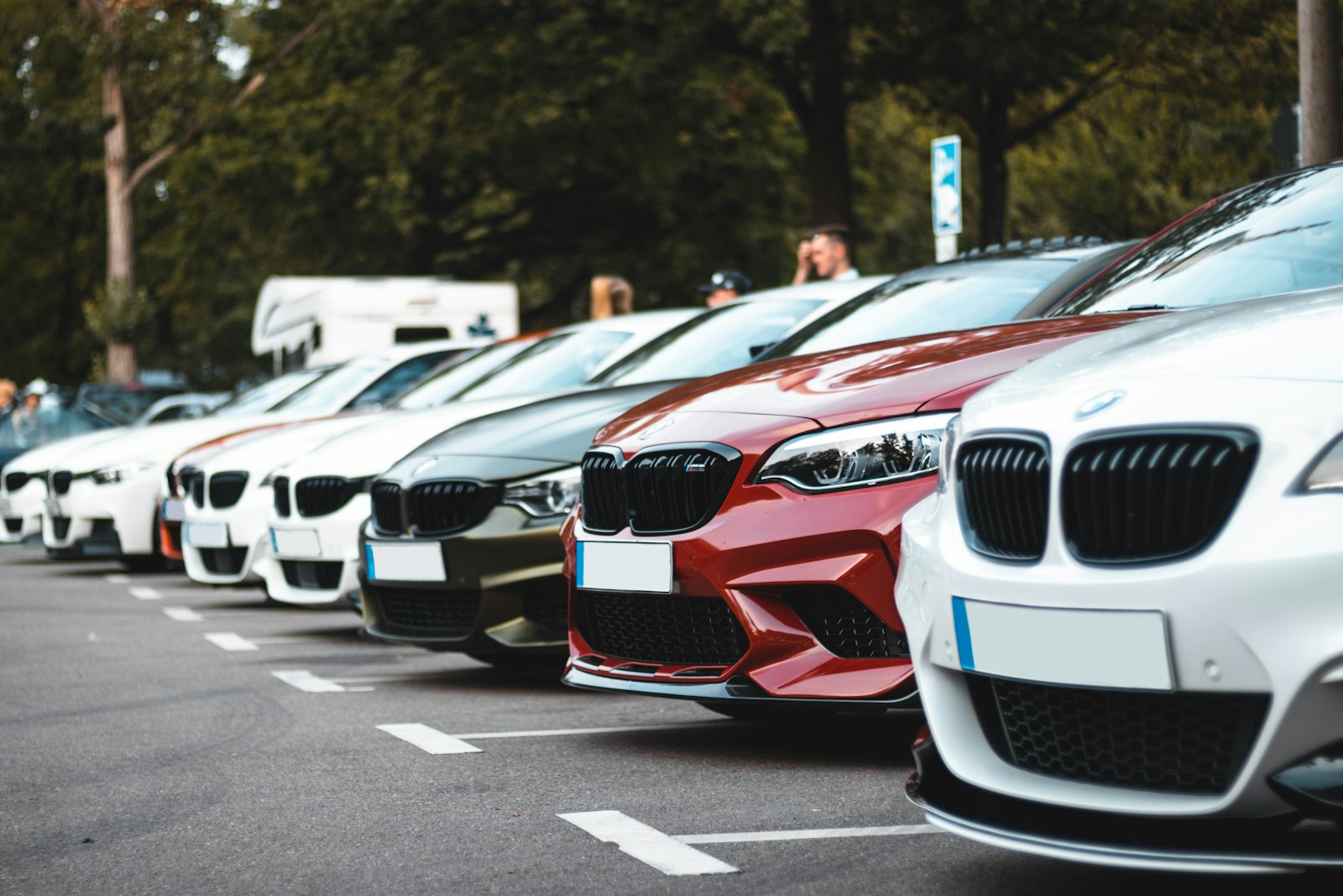 Row of rental cars – car rental company for sale in the UAE