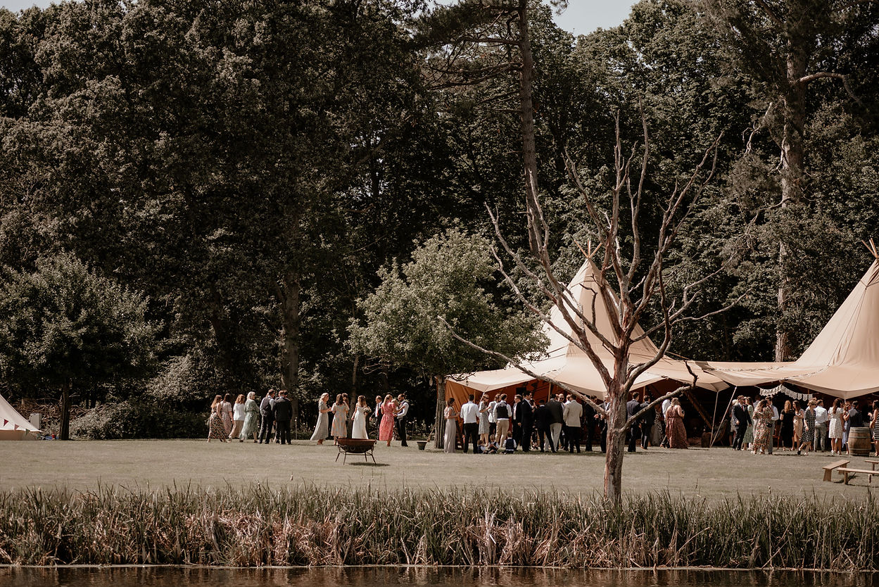 knepp-castle-estate.jpg