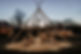 Naked-tipi.jpg