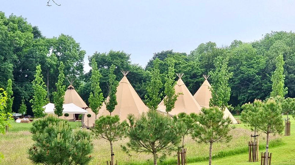 Giant tipis in a woodland garden setting in the summer