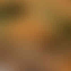 Rustic tipi wedding reception