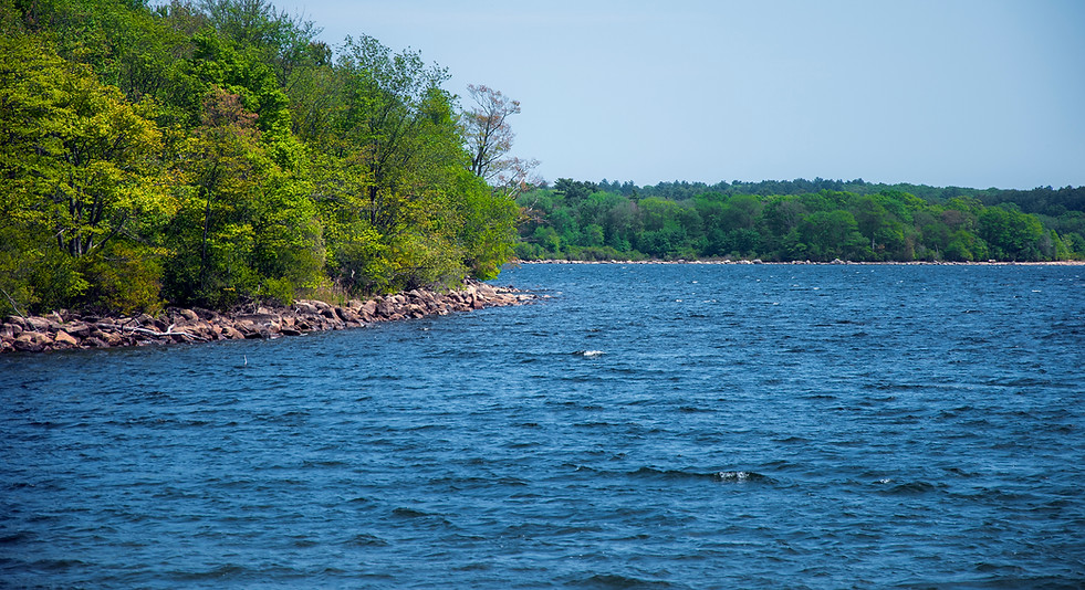 South Watuppa Pond Water Quality Watuppa Reservation Fall River