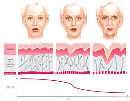 Collagen