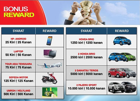 Bonus Reward Agneta