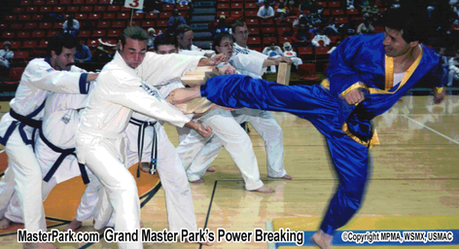 "Ninja Board Breaking Challenge"