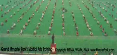 Master Park's School, Organization, Corporate, Church program: health, wellness, discipline, respect