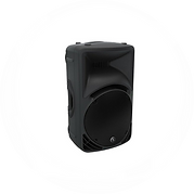 1x Mackie 450 V3 Speaker