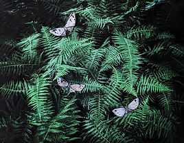 Digital Photo of ferns with collage paper moths