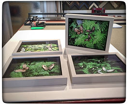 Shadowbox framed collages of ferns with butterflies