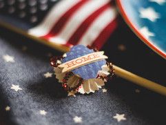 THE ROLE OF GOVERNMENT IN A DEMOCRACY