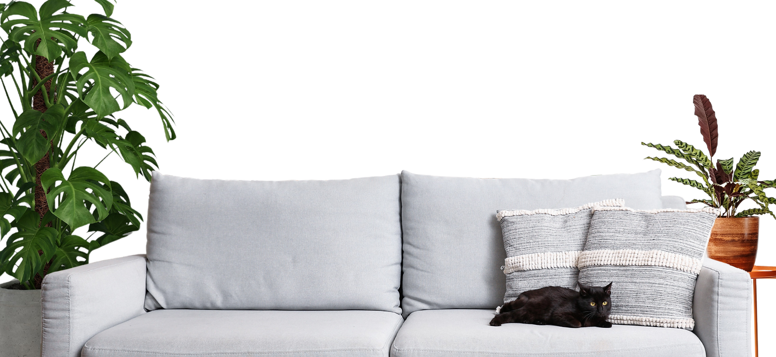 Green White Minimalist Furniture and Design Presentation (3).png