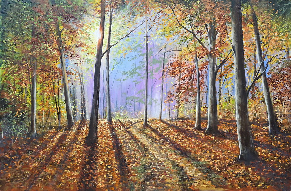 Autumn woodland print by Ben Goymour with sunlight streaming through tall trees and long shadows across fallen leaves.