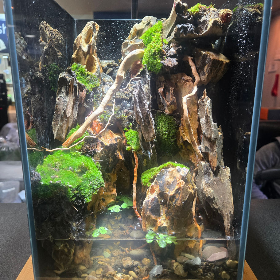 Handcrafted Desktop Waterfall Aquascape close-up natural materials Altoona PA Qscapes