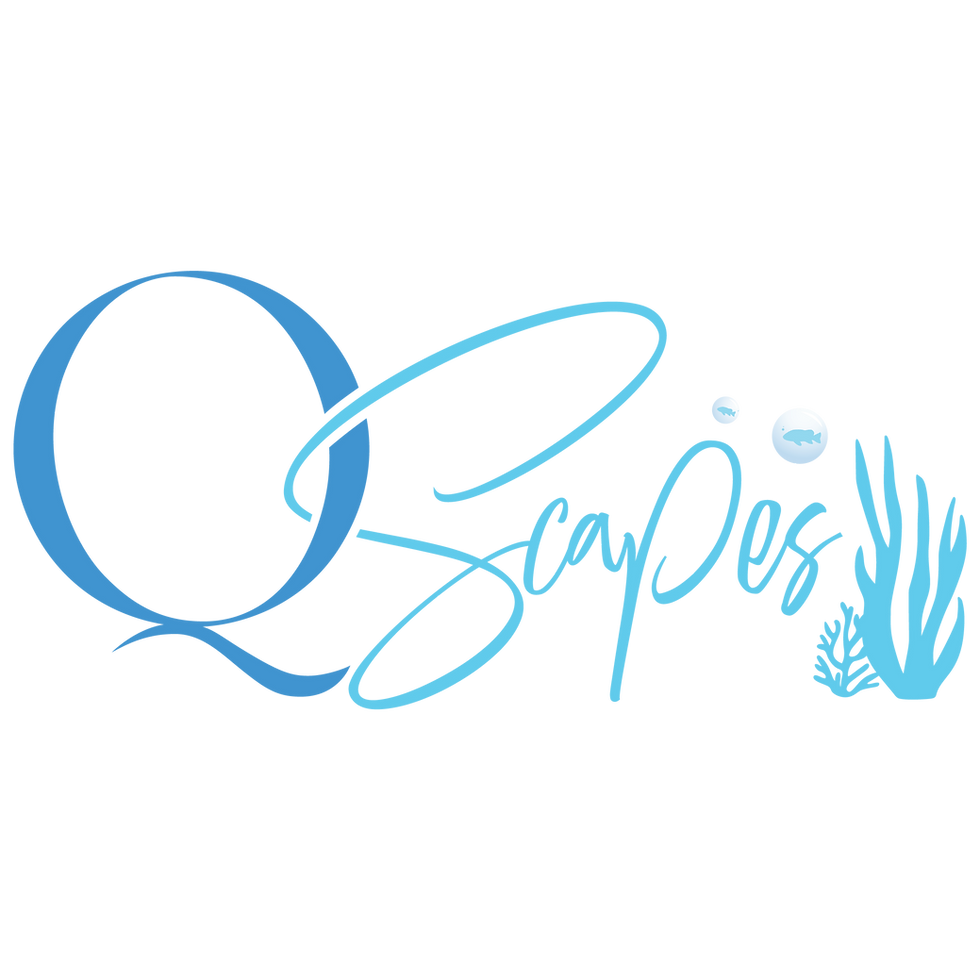 Blue Qscapes logo on black background with artistic font and design.