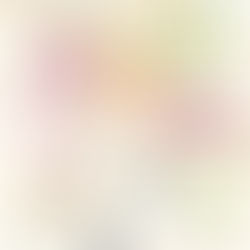 1月11日をかしわらマルシェブースマップ