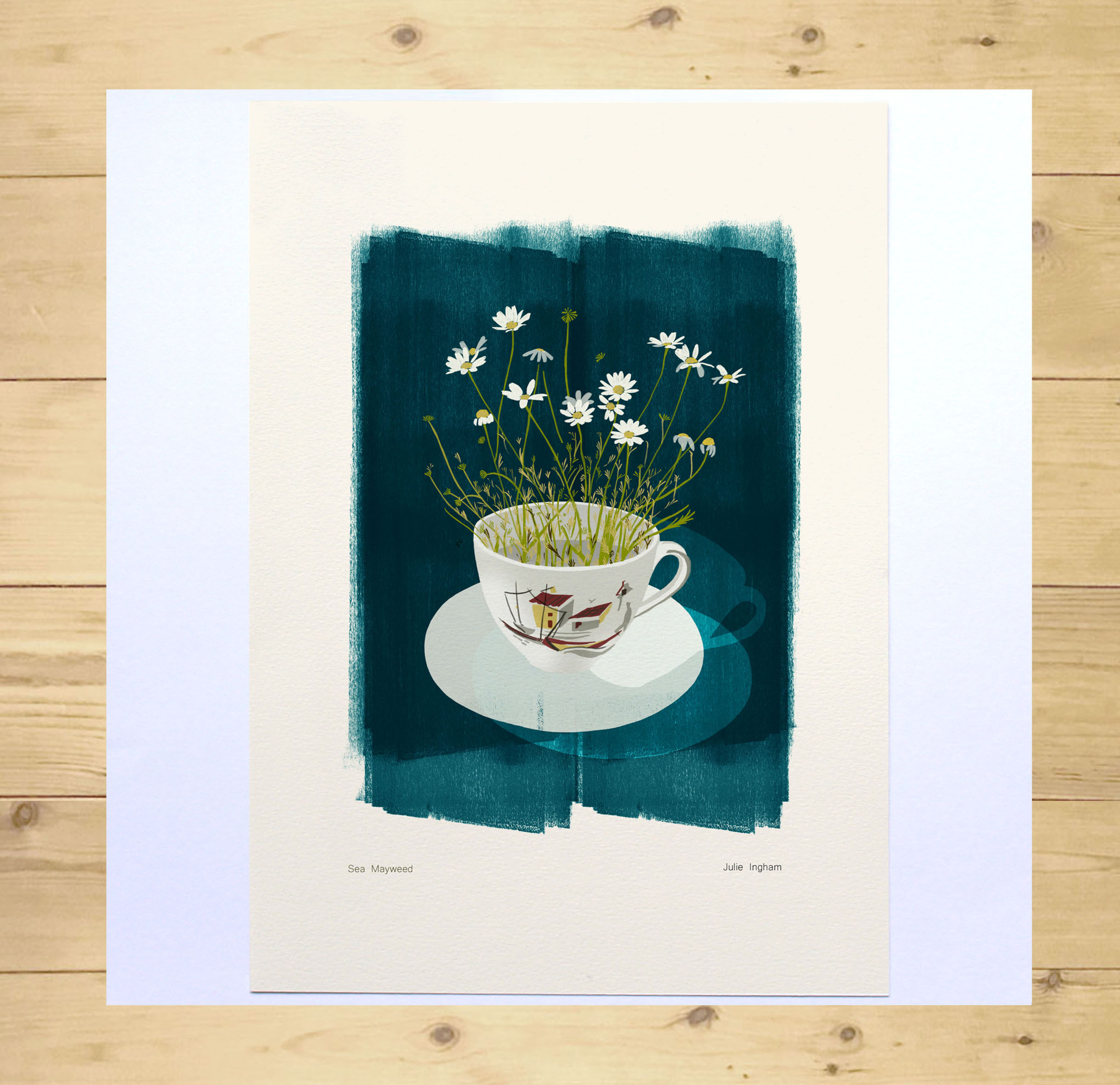 Sea Mayweed Teal