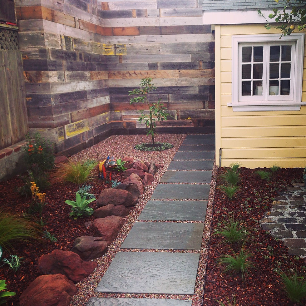 Michele and Carl's Garden