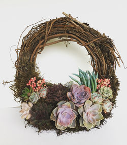 Photo Feb 09, 2 49 21 PM.jpg