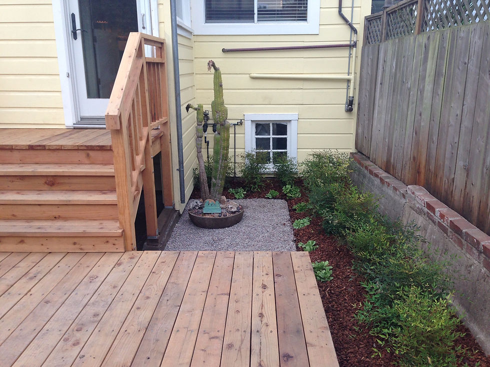 Michele and Carl's Garden