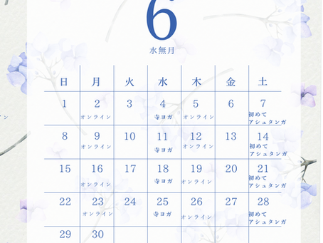 6月の予定