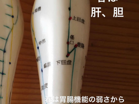 経絡ヨガ
ホリスティックヘルスケア研究所