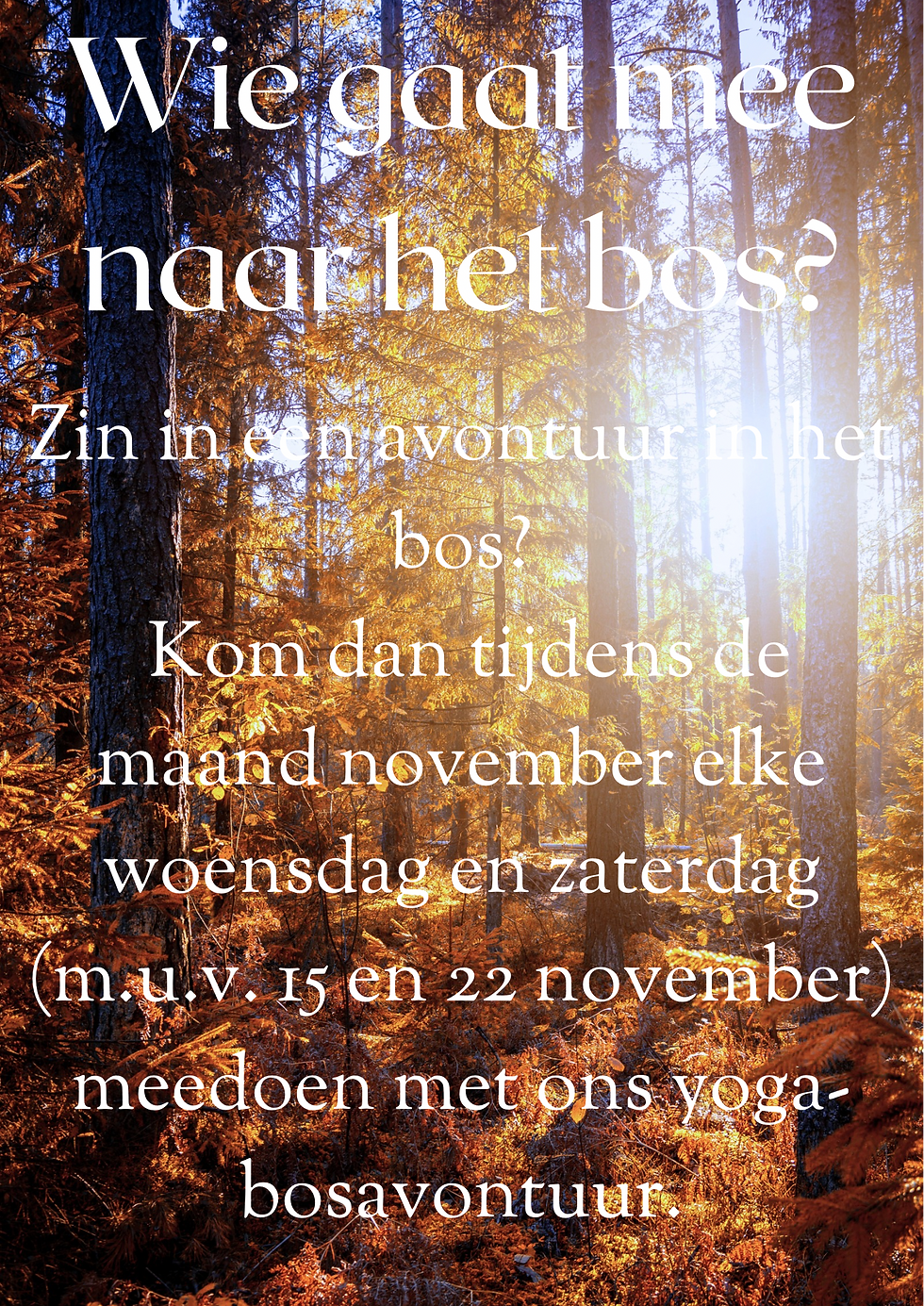Thema Het Bos (november 2025):