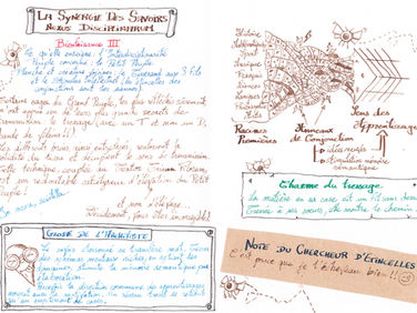 La transdisciplinarité nécessaire