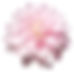hudpleiesalong ,hudpleie bislett, hudpleie solli, hudpleie vika, hudpleie pilestredet, spa bislett, voksing bislett, skincare oslo, hudpleie holbergplass, brasiliansk oslo, bioline oslo, hudpleie parkveien,hudpleie welhavensgate, skin & care, voksing pilestredet, voks av bryn bislett, bryn bislett, skin & care oslo,bislett hudpleie, massasje bislett, massasje parkveien, massasje hegdehaugsveien, massasje pilestredet, ansiktsbehandling bislett, online booking, rygg og nakkemassasje oslo, gavekort hudpleie,spabehandling oslo, hudpleie herre, bryndesign, primaluce, desense, reveillance, fruktsyre, mineralogie, cherry bloom, fibermascara, bodypeeling, hudpleie vika, voksing vika, hud vika, beauty vika