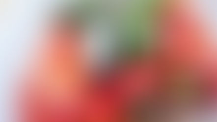 Gefüllte Spitzpaprika mit Grünkern