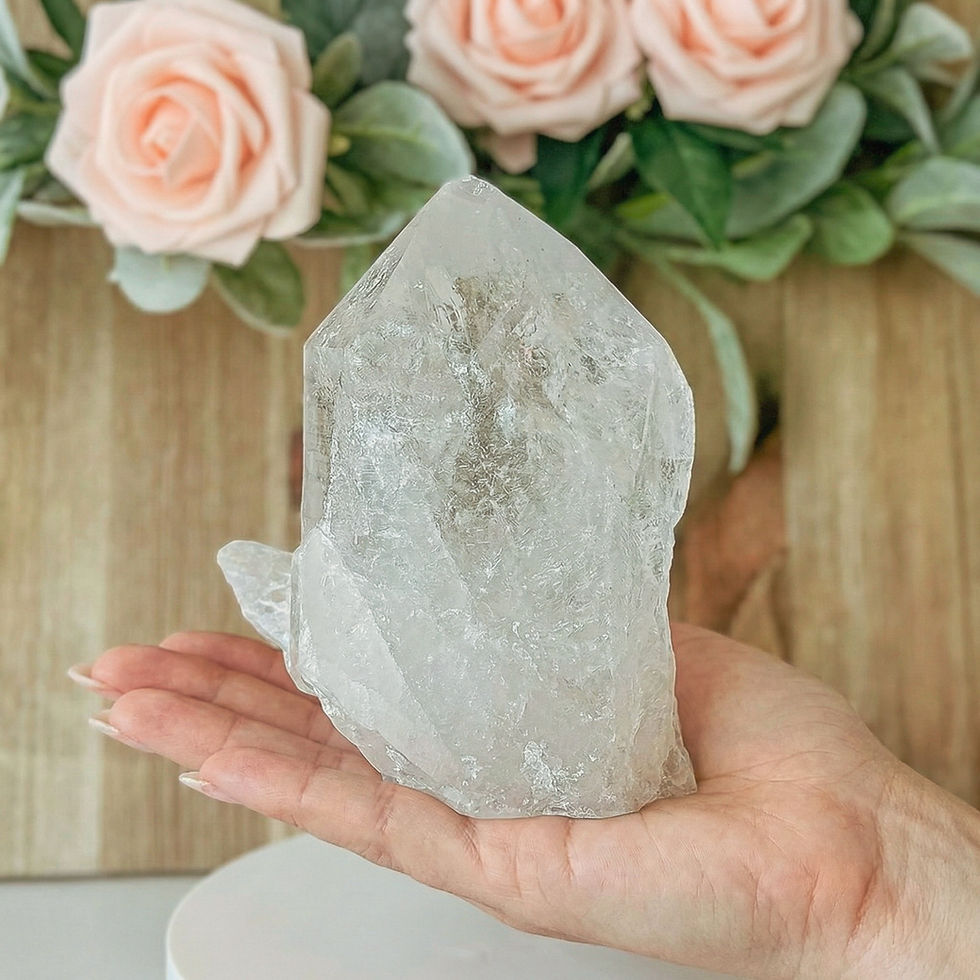 Hand holding the 1.8lb Raw Clear Quartz Crystal – Rare Dolphin Formation Point near a wooden backdrop and pink roses.