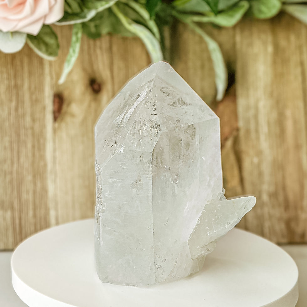 Thumbnail: Right angle of 1.8lb Raw Clear Quartz Crystal – Rare Dolphin Formation Point on a white stand showing the side crystal.