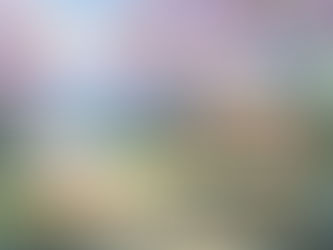 ２０２３・４　Thank you Dayのご案内