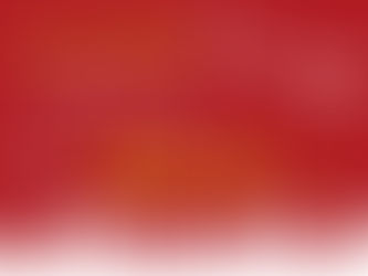 【クリスマス限定クーポン】「癒し」キャンペーン!②:庸(みち)にもサンタがやってくる?
