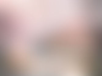  ２０２４・３　Thank you Dayのご案内