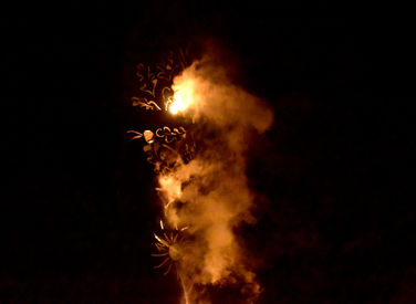 DSC_0045.JPG