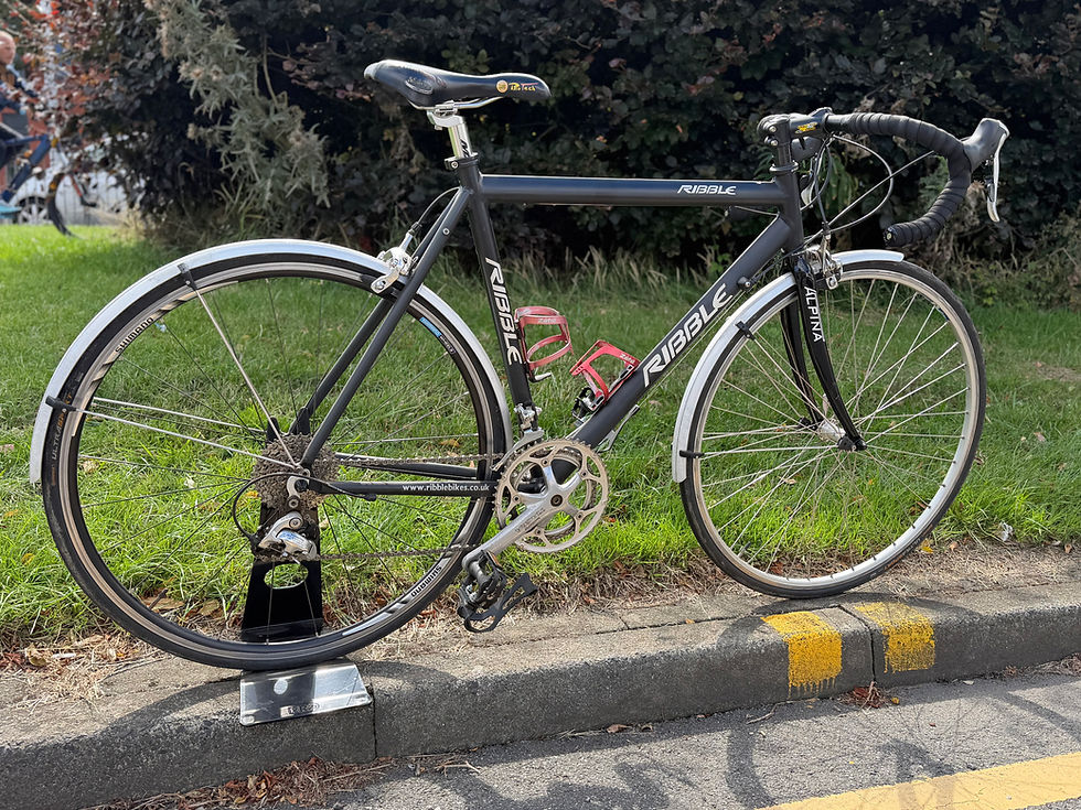 Ribble Alpina