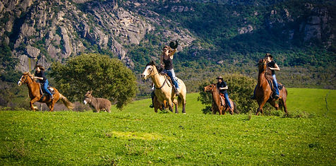 img src="sportive.jpg" alt="balade rando plage maquis corse cheval galop cavallu horse corsica"