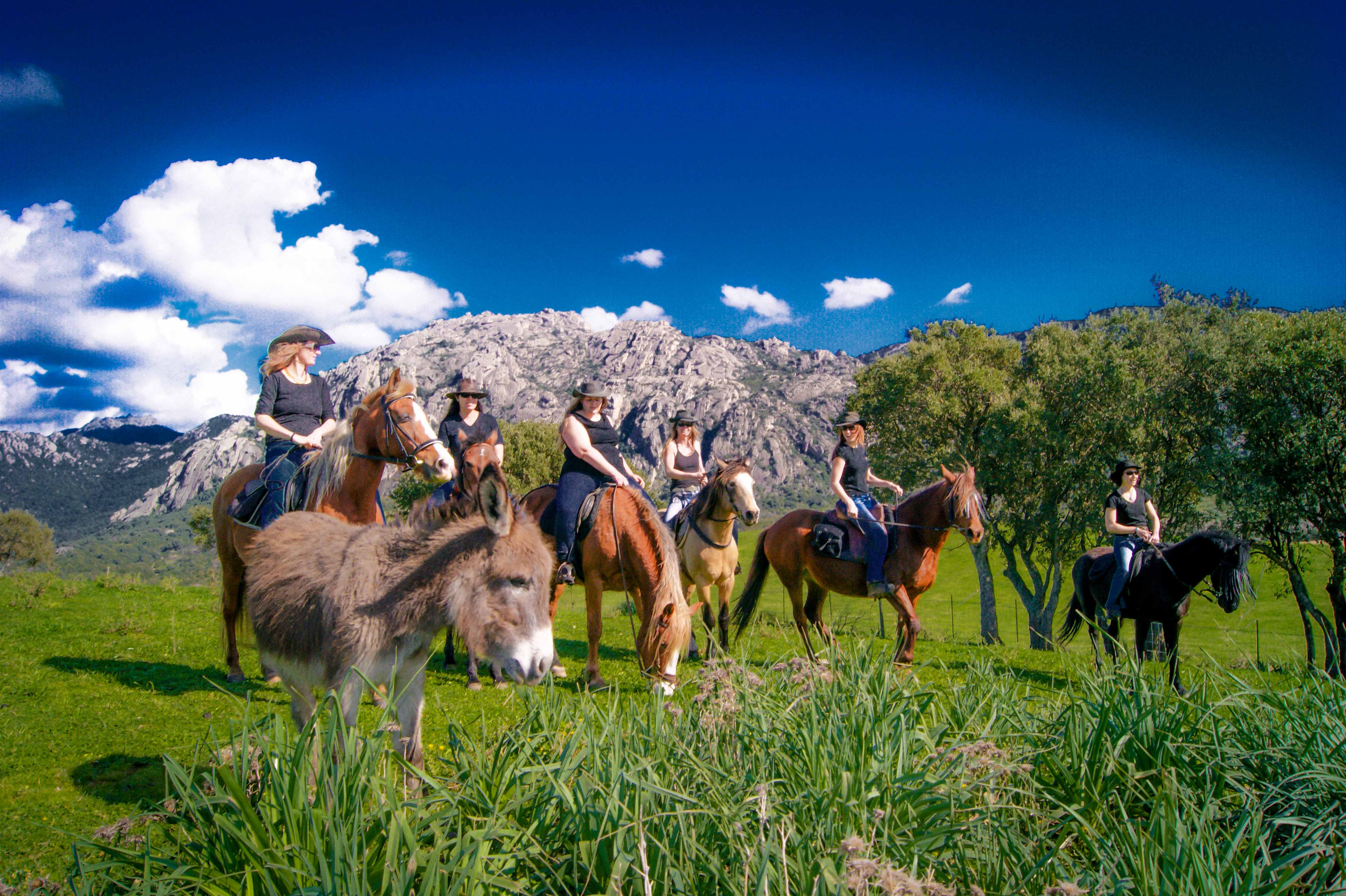 Fior Di Lezza Cupabia Baignade à Cheval