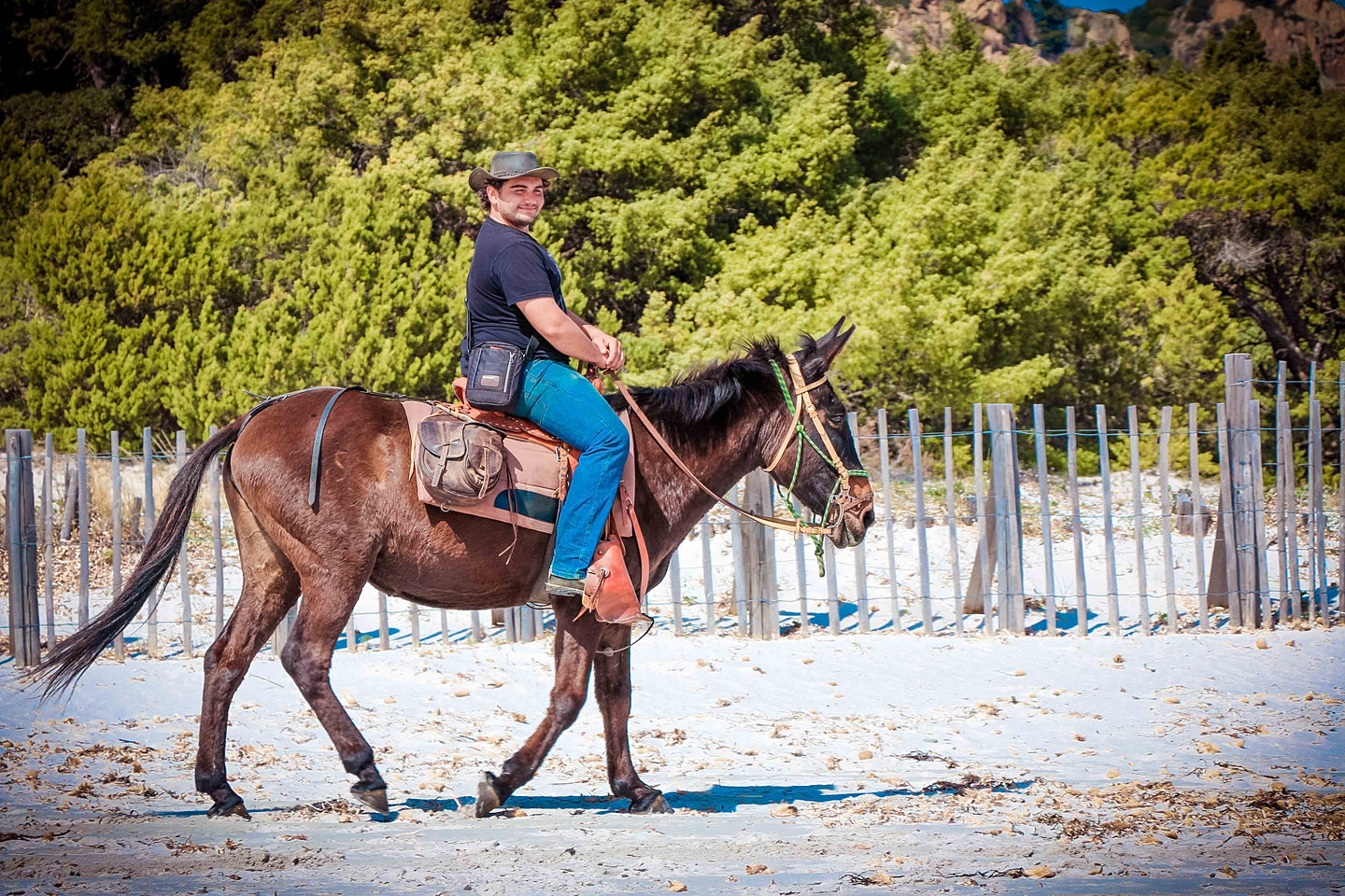 randonnee cheval propriano
