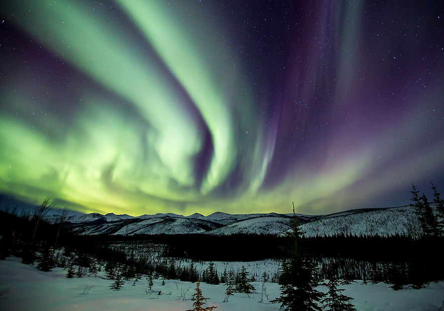 Northern Light Husky Trip Picture