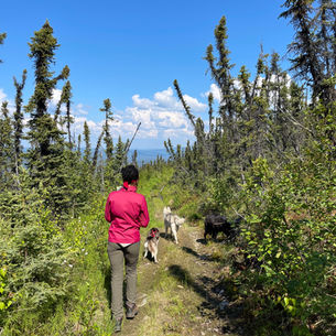 A Perfect 1-Day Fairbanks Summer Itinerary: Husky Hike, Thai Lunch & Local Adventures