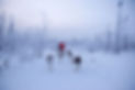 ©WhitneyMcLaren-2233.jpg