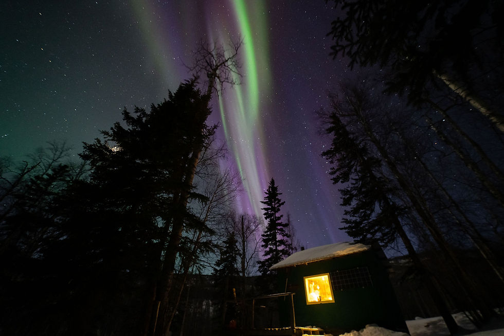 Aurora over Tolovana Hot Springs in Alaska.