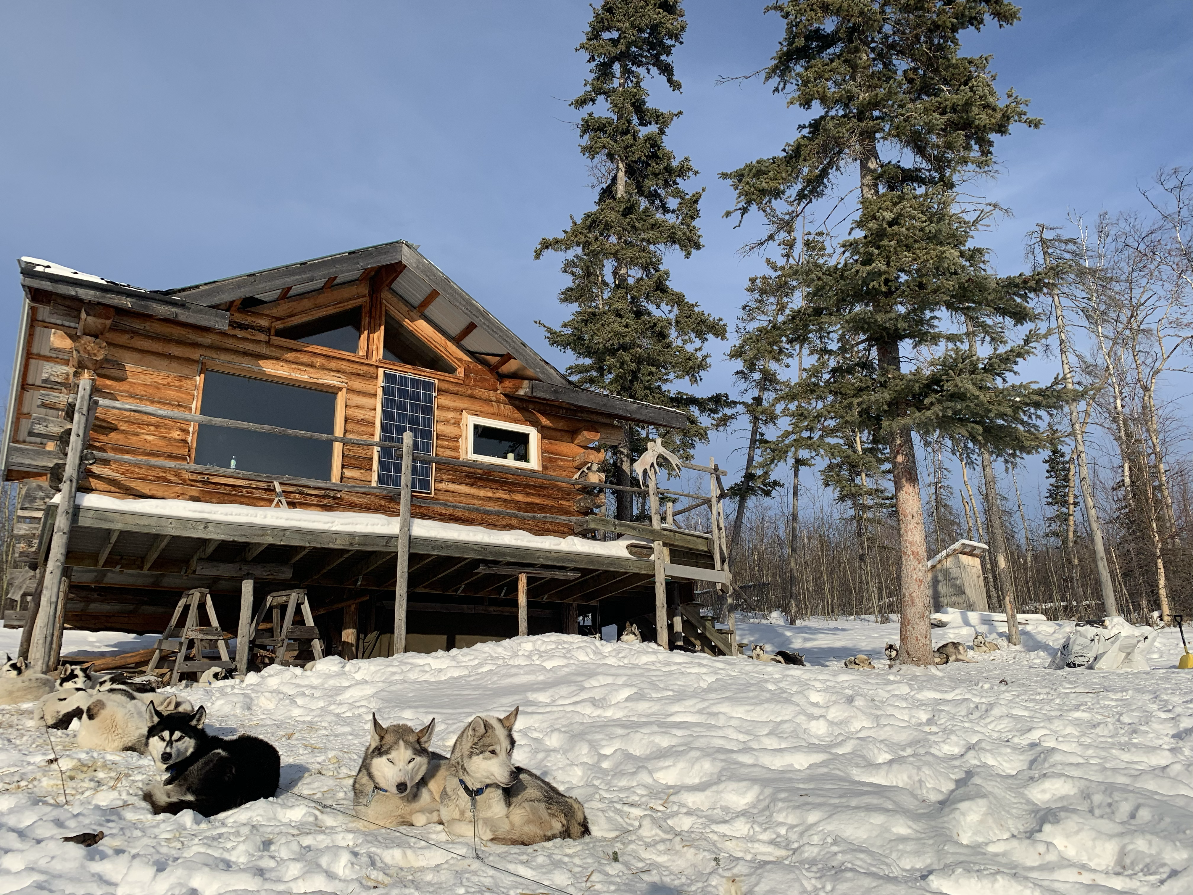 The Log Cabin at Tolovana Hot Springs